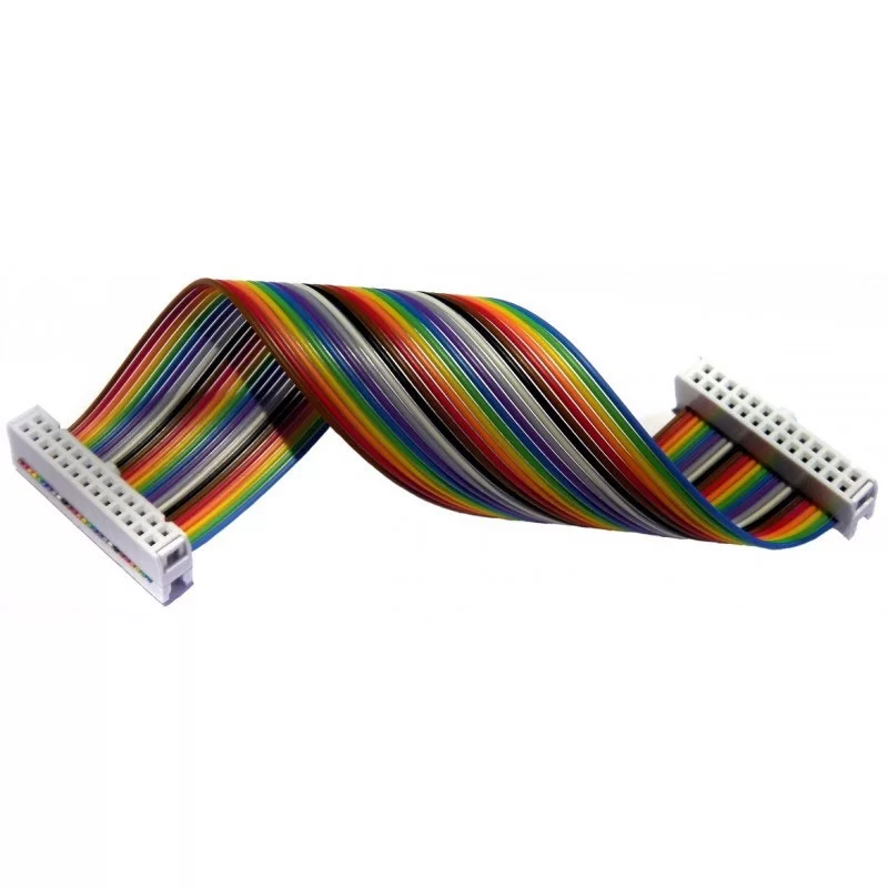 Ribbon Cable Assembly